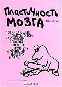 Пластичность мозга: Потрясающие факты о том, как мысли способны менять структуру и функции нашего мозга